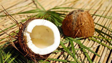 cara buat minyak kelapa dara