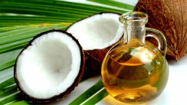 peluang usaha minyak goreng kelapa
