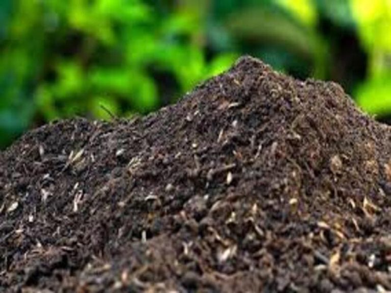 produksi kompos ramah lingkungan