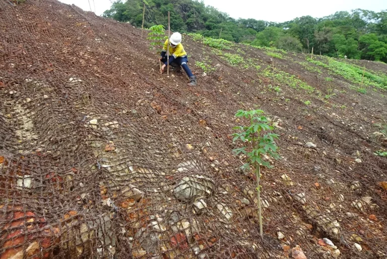 Pembelajaran ekologi melalui cocomesh