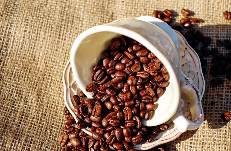 Cara Memilih Biji Kopi Berkualitas