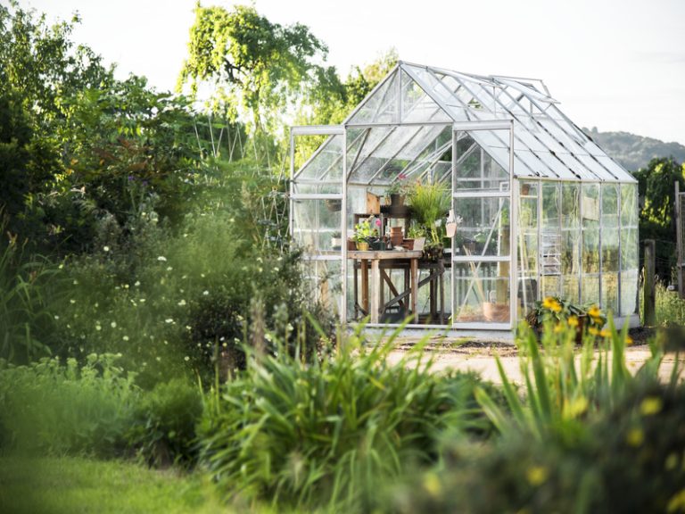 greenhouse untuk petani modern