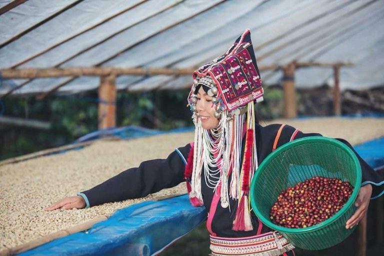 Metode Pengolahan Kopi Pasca Panen
