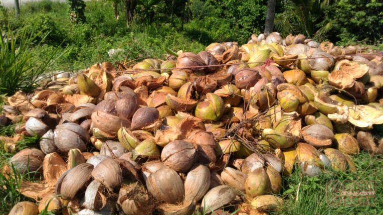 Produk dari Tempurung Kelapa Potensi Ekonomi dari Limbah