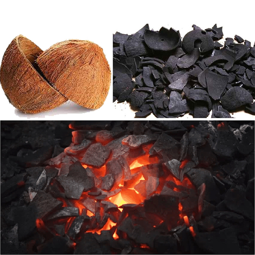 renewable coconut energy source