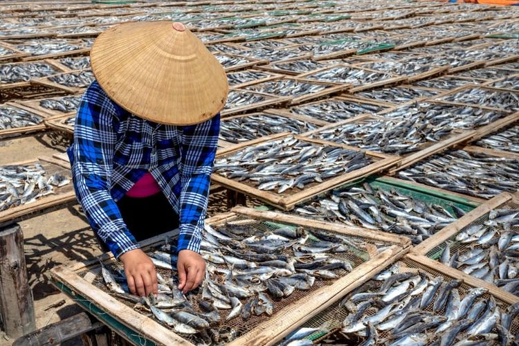 usaha olahan daging ikan