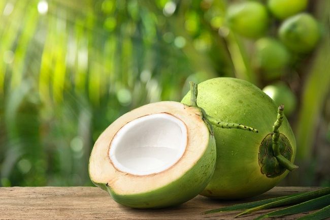 resep olahan kelapa kreatif