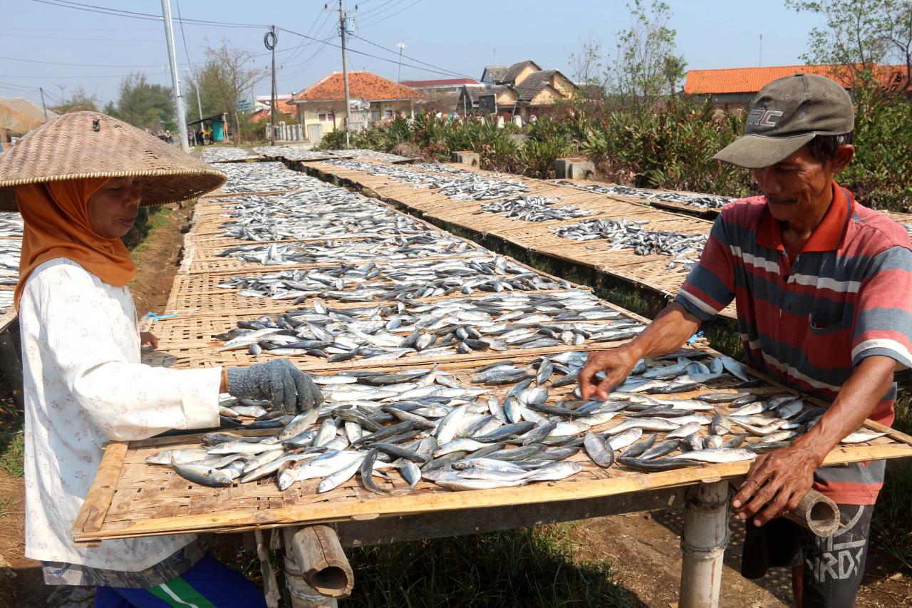 usaha olahan daging ikan