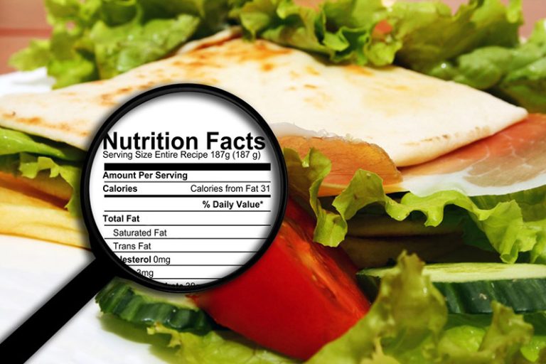 pembuatan laporan nutrisi makanan