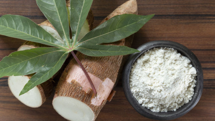 bisnis tepung singkong mocaf