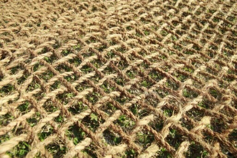 Peluang dan Tantangan Ekspor Cocomesh ke Dunia