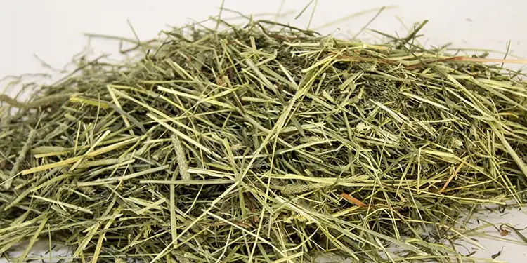 rumput kering tahan penyimpanan