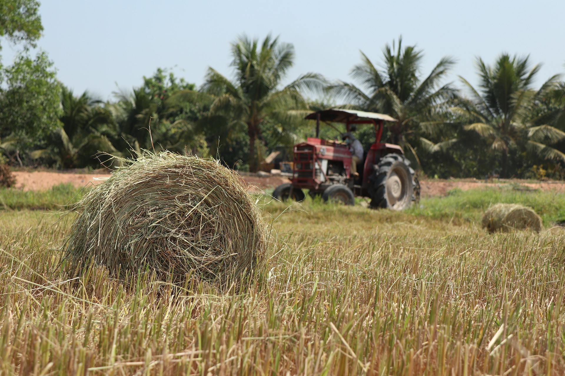 produktivitas panen pertanian