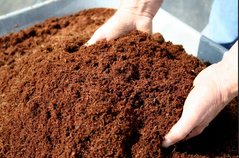 Inovasi bioremediasi tanah sabut kelapa