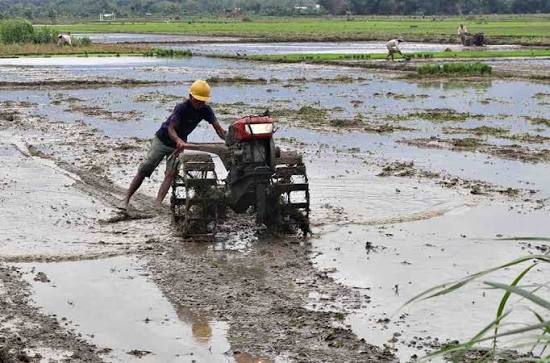 penyebab hand traktor sulit dihidupkan