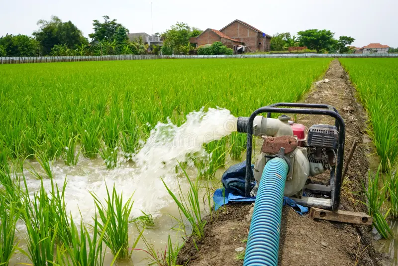manfaat pompa air dalam sistem irigasi