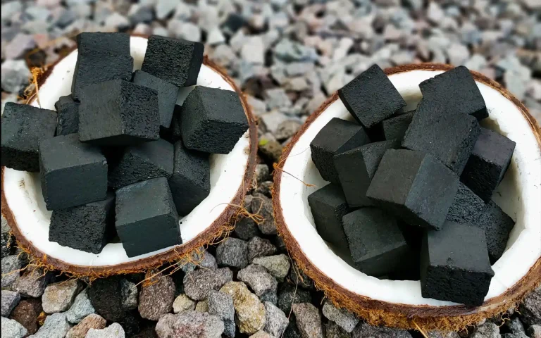 jenis briket kelapa