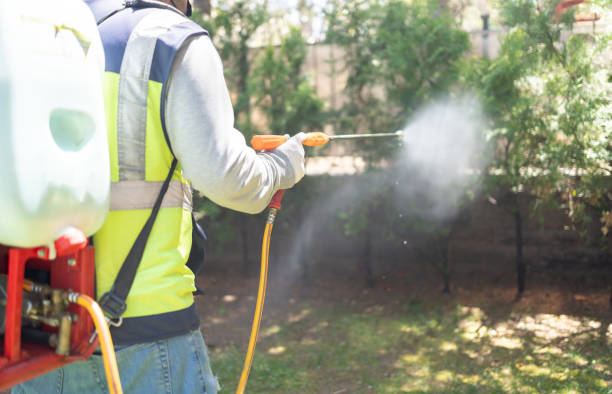 cara menggunakan hand sprayer elektrik