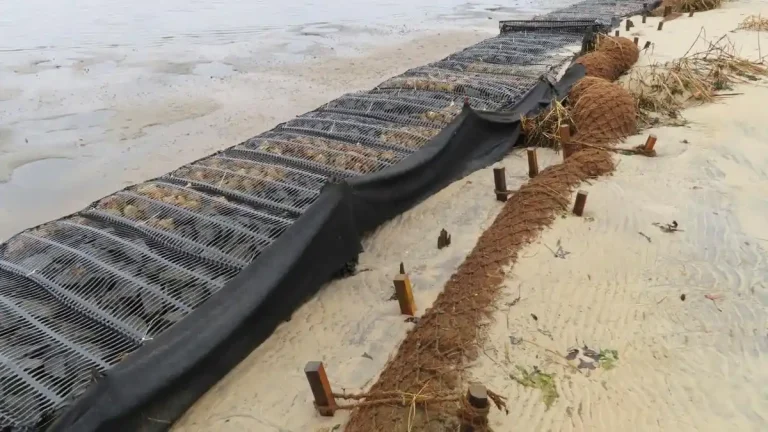 pengendalian abrasi pantai