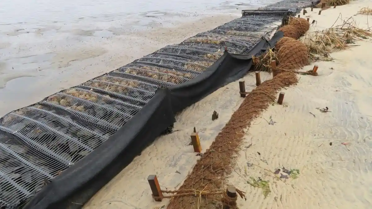 pengendalian abrasi pantai