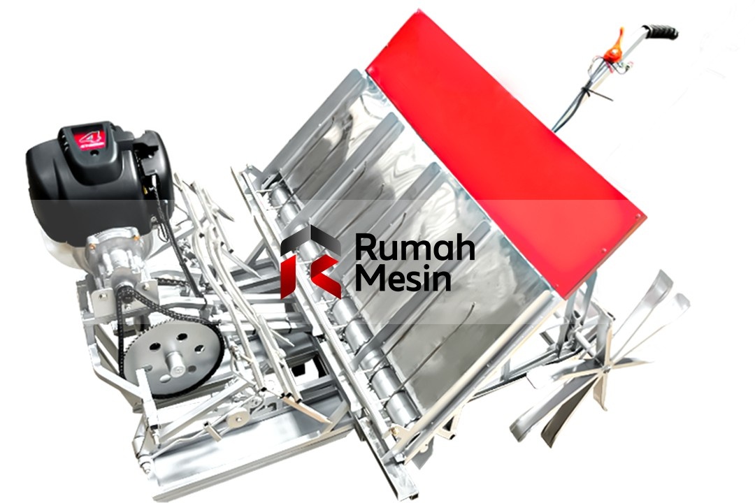 peluang usaha jual bibit padi