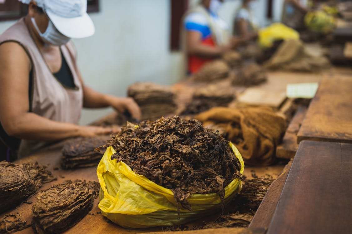 cara menjaga ketajaman pisau mesin perajang daun tembakau